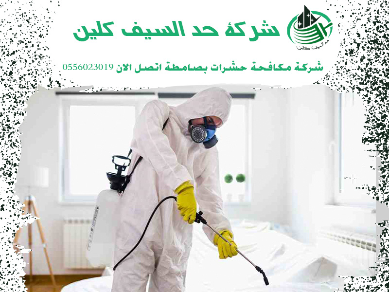 شركة مكافحة حشرات بصامطة اتصل الان 0556023019