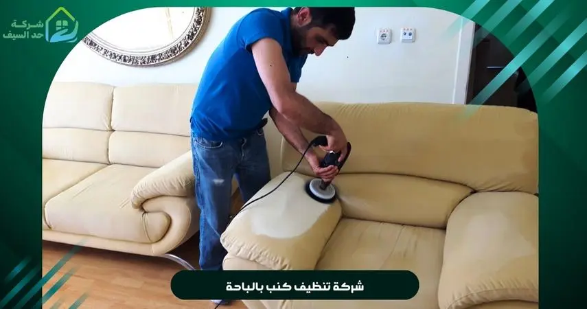 شركة تنظيف كنب بالباحة