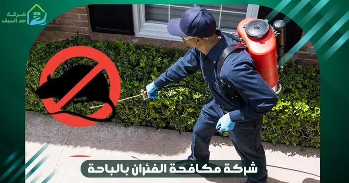 افضل شركة مكافحة الفئران بالباحة