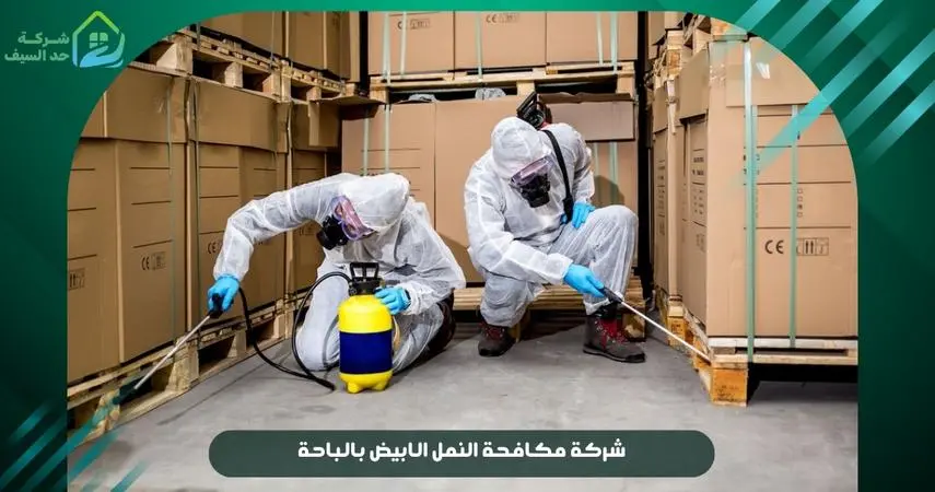 شركة مكافحة النمل الابيض بالباحة