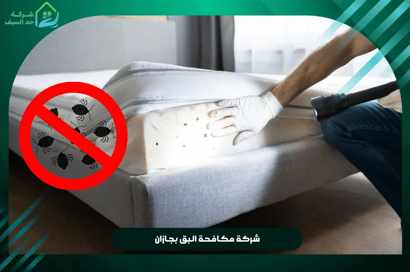 افضل شركة مكافحة البق بجازان بخبراء معتمدين