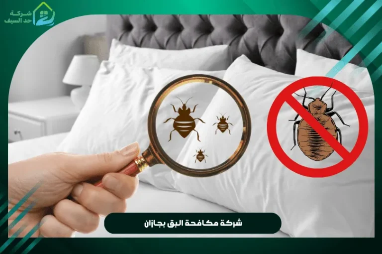 شركة مكافحة البق بجازان