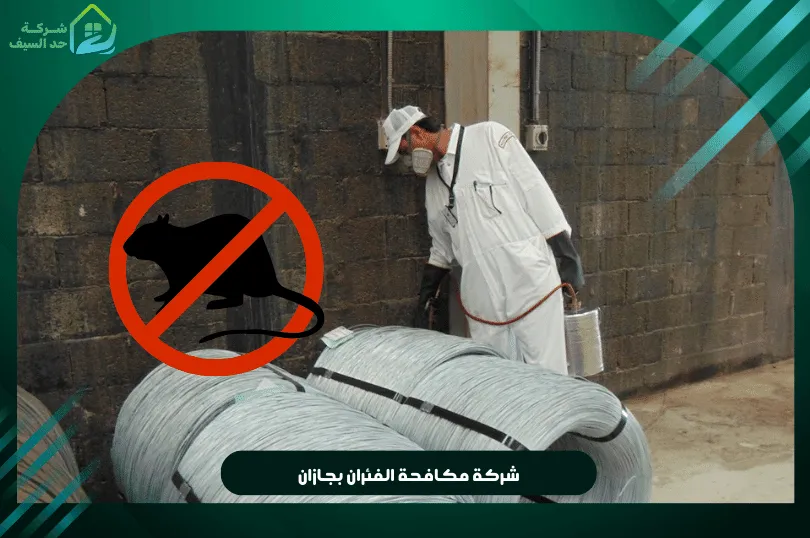 شركة مكافحة الفئران بجازان